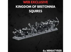 Kingdom of Bretonnia Squires