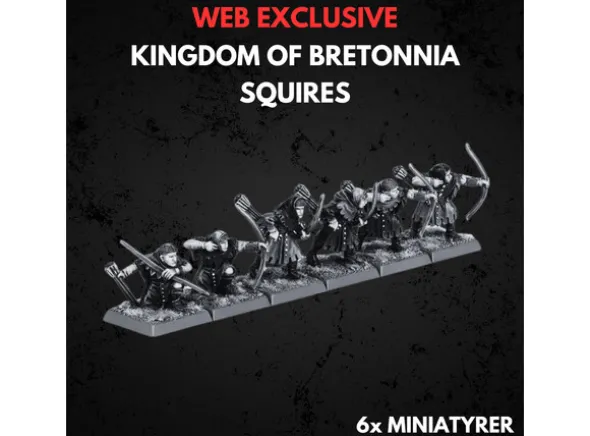 Kingdom of Bretonnia Squires