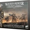 Legiones Cataphractii Terminators Fists