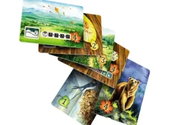 Meadow Cards & Sleeves Pack
