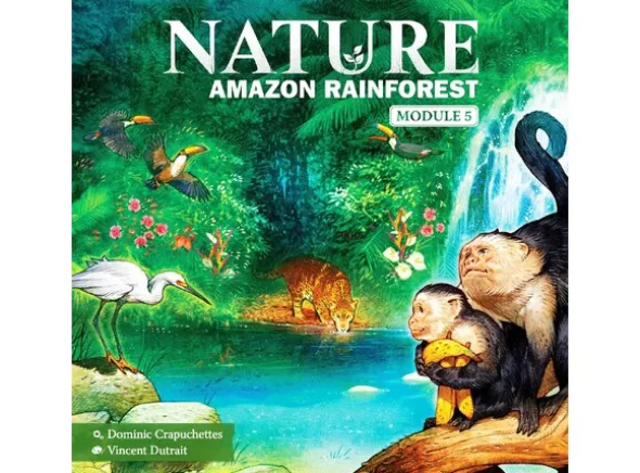 Nature Amazon Rainforest Expansion