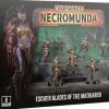 Necromunda Escher Blades of Matriarch