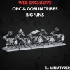Orc & Goblin Tribes Big Uns