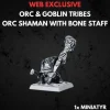 Orc & Goblin Tribes Orc Shaman
