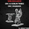 Orc & Goblin Tribes Orc Shamans