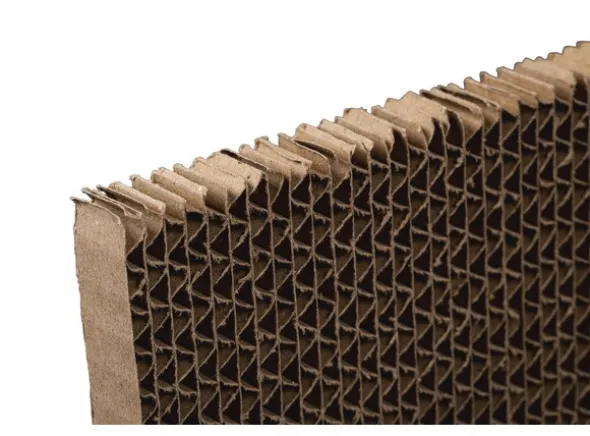 Panzag HS 420 & E600 Back Filter