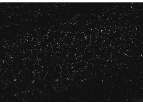 Panzag HS E600 Filter - Svart