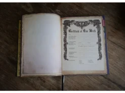 Pathfinder Complete Rogue Chronicle