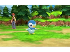 Pokemon Brilliant Diamond Switch