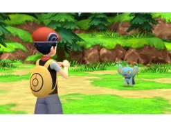 Pokemon Brilliant Diamond Switch