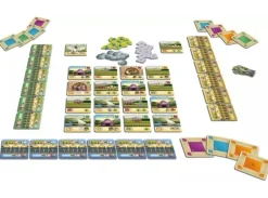 Rajas of the Ganges Cards & Karma