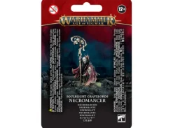 Soulblight Gravelords Necromancer