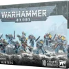 Space Wolves Grey Hunters