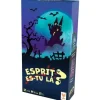 Spirit Are You There Kortspill