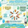 Tanbo Brettspill