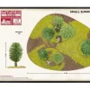 Terreng Small Summer Wood