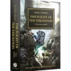 The Flight of the Eisenstein (Paperback)