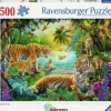 Tiger Family in Oasis 500 biter