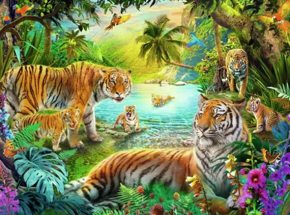 Tiger Family in Oasis 500 biter