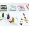 Tokaido Stonemaier Edition Brettspill