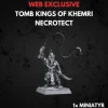 Tomb Kings of Khemri Necrotect