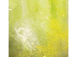 Vallejo Environment Slimy Grime Light