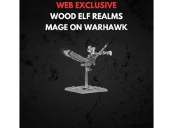 Wood Elf Realms Mage on Warhawk