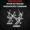 Wood Elf Realms Wardancer Troupe Command